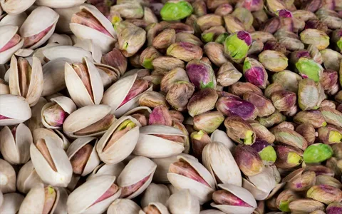 تصویر 4 از خرید پسته اکبری + قیمت فروش استثنایی